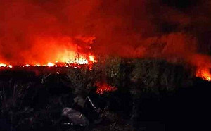 (影)烏克蘭貨機墜毀希臘！機上危險物毒氣外洩8人生死不明