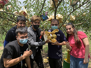 用梨樹跟世界做朋友 中彰觀光圈帶國際學生體驗梨之鄉