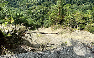 颱風影響道路崩塌！福山植物園8/16起休園5個月