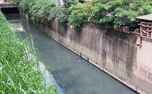 中和中原溝猛飄惡臭異味  新北市議員金瑞龍會勘改善