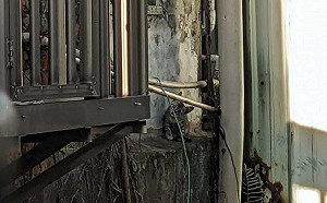 新北動保處偕民眾集氣神救援 屋頂受困幼貓安全下地