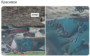 (影)俄羅斯記者稱親俄民兵摧毀「敵機」卻是俄軍Su-34戰機被擊落！