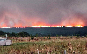 蔡筱穎觀點》歐洲熱浪燒破記錄！法國「極端高溫」醫療費用驚人