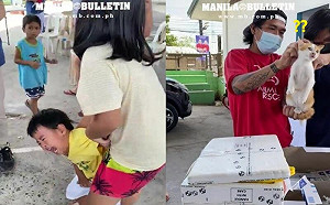 男童爆哭崩潰！竟是因為愛貓打針