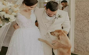 帶我回家！浪汪守教堂對新人獻擁抱