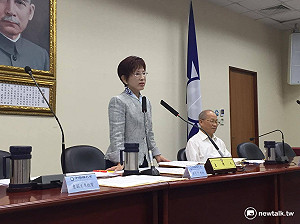憂黨內分裂？洪秀柱：黨團與黨中央要多溝通