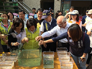 高市防登革熱再祭新招：孔雀魚及溝泥車