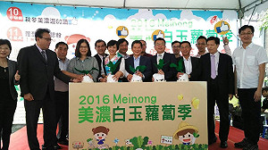 地上出黃金！2016美濃白玉蘿蔔季開跑