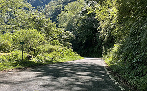 上山避暑注意！大雪山林道7/22起施工交管4天