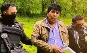 躲藏整整9年竟因一條狗栽了！看墨西哥「毒梟教父」的囂張生平