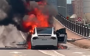 林志穎自撞火燒車！中國網友要特斯拉給交代 外媒：概念股應聲嚇跌