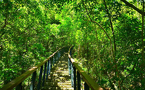 春節暢遊花蓮！太魯閣遊園專車大年初二到初四免費搭
