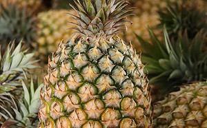 賤賣？網傳台灣鳳梨在日本僅售100日圓 農委會回應了