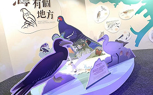 北海岸新據點！「海有個鳥地方」暑假開展