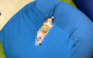 奴才買涼感懶骨頭！每次都被貓搶