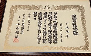 毛寶貝白衣天使投身淡水動物之家  日本動物看護師成為新北志工