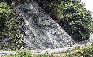 觀霧避暑旅遊注意！大鹿林道8.3K處8月至9月實施整點放行