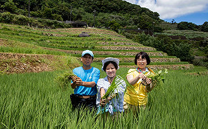 Chill新北石門樂農活 喫極北茶米茶