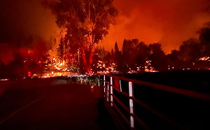 火積雲挾帶閃電或將加大火勢！北加州熊熊野火燒毀「6成台北面積 」
