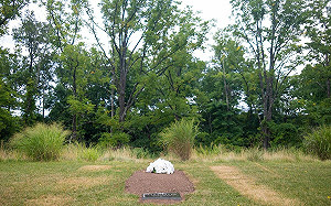 川普竟把前妻葬在高爾夫球場旁 被網友批冷血! 他是在打這算盤....