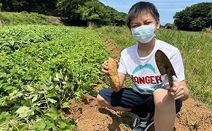新北觀光工廠輕旅行 浪漫二日遊成對就出發