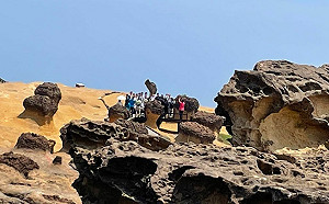 日本踩線團每人3萬團費誰買單？觀光局說話了