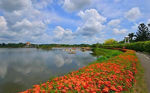 國三生注意！虎頭埤「做16歲」登高環湖享半價優惠