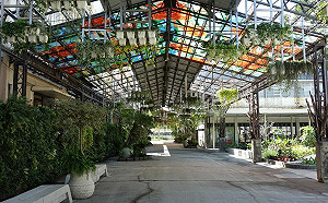 屏東大武森山市集週末登場！4大主題120攤玩到捨不得回家