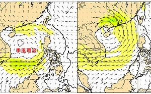 今明高溫上看38度 吳德榮:下週南海熱帶擾動有成颱機率