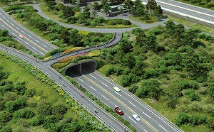 行政院拍板同意補助淡北道路 新北市府力拼招標