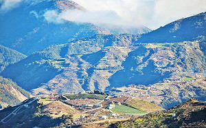 上山避暑！中市府大推公車遊 153進谷關、865上梨山