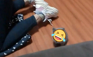 朕無奈！奴才找貓　牠待身後好茫然