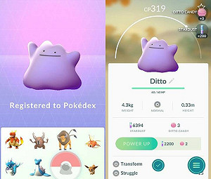 寶可夢感恩節活動藏驚喜  百變怪出現！