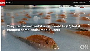 日九州滑冰場冰封5千魚蝦  遊客痛批殘忍急撤