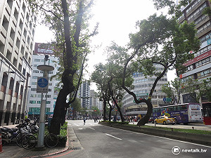 氣象局預測：冬季氣溫正常偏暖 雨量偏少