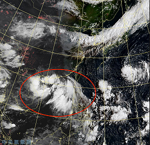 七號「木蘭」難預警？鄭明典：看起來不像颱風
