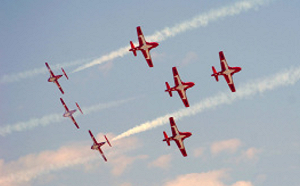 不敢飛了!  加拿大空軍「雪鳥」飛行隊發生事故  軍方下令暫時停飛