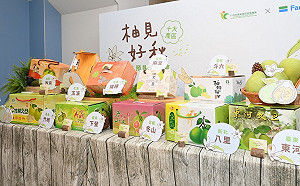 台灣文旦遭禁！陳吉仲：銷中國僅7%  合作超商上架新鮮直送