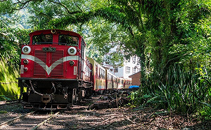 搭高鐵探訪阿里山林鐵秘境！4大特色站一次玩遍