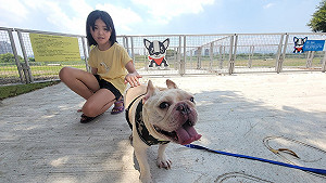 新北新莊第一座寵物公園8/16啟用 讓毛小孩自在跑跳樂翻天