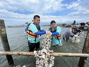 搶救外傘頂洲 蔡易餘與東石鄉親一起守護國土