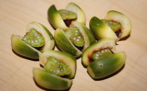 員警連吃30顆檳榔實測　醫有話要說