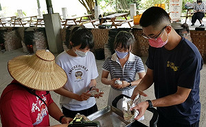 2022新北金山甘藷季！抓緊暑假尾巴親子活動最佳好去處