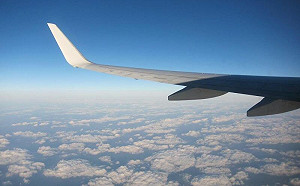 1招騙過黑幫！他飛柬埔寨2天逃回台