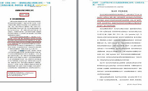 許淑華論文案是抄襲？代寫？ 吳佩蓉質疑：前職員謝百傑可能是寫手 