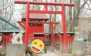 爭豆皮壽司？狐狸在稻荷神社前吵架