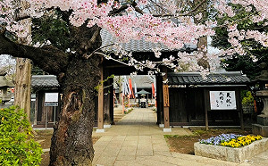 快規劃行程！9/14赴日可申請電子簽 林氏壁：再等價錢就不是這樣了