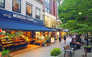 旅日黃金期！林氏璧大推「年底前去日本」 2因素網心動