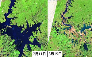 長江60年來最嚴重乾旱 鄱陽湖、洞庭湖「瘦成閃電」 面積只剩1/4