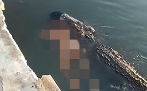 墨西哥公園驚見鱷魚拖行浮屍 男子不顧警語下水遭攻擊